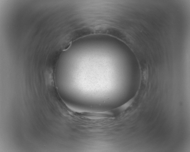 X0000054470963200508121959