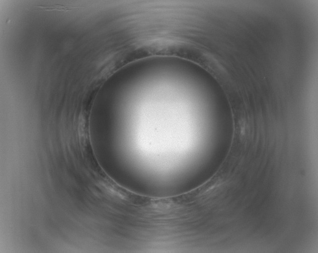 X0000054470964200508121959