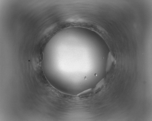 X0000054470966200508121959