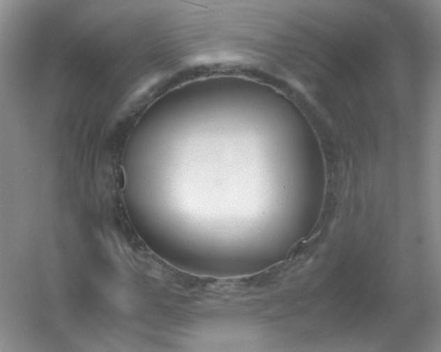 X0000054470967200508121959