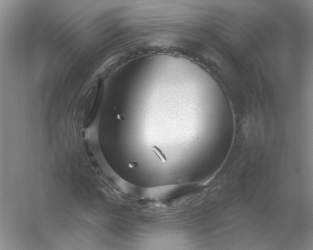 X0000054470968200508121959