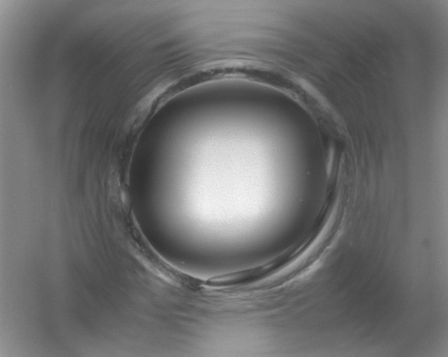 X0000054470969200508121959