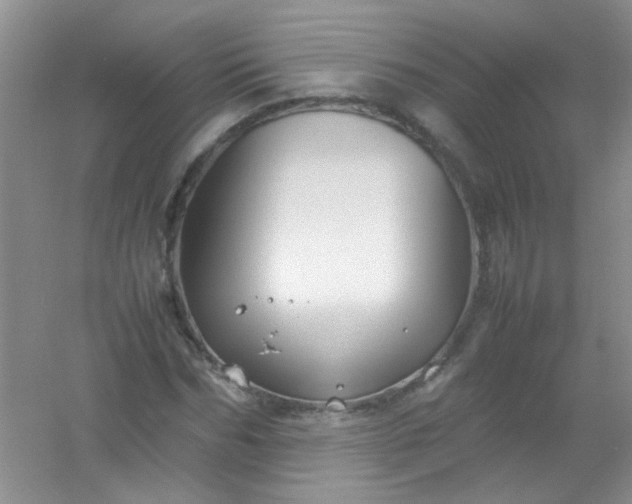 X0000054470970200508121959