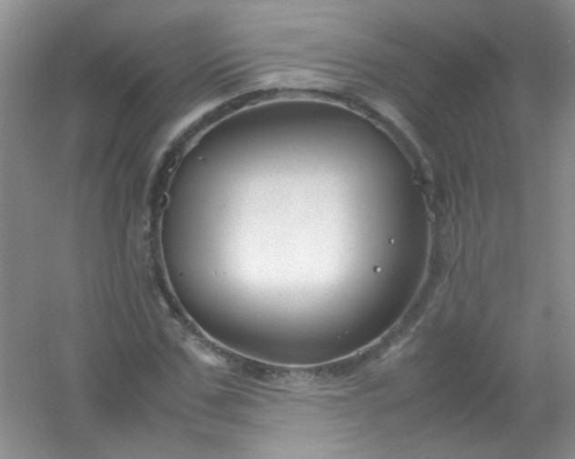 X0000054470971200508121959