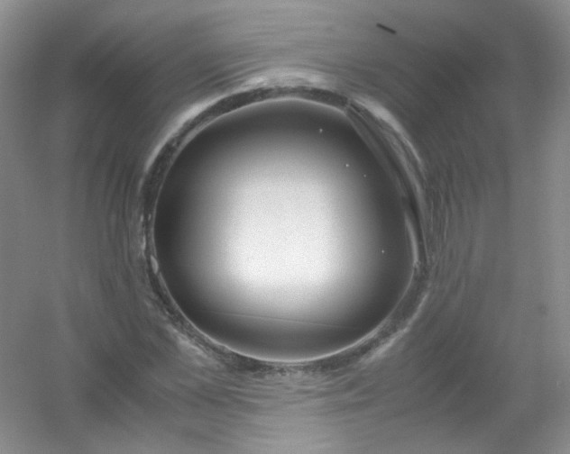 X0000054470973200508121959