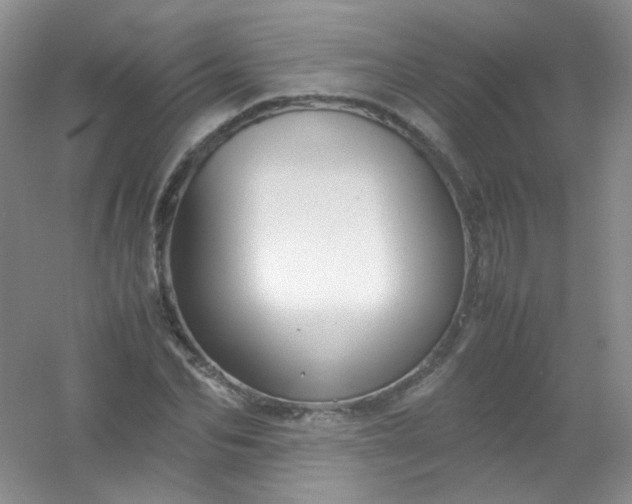 X0000054470974200508121959