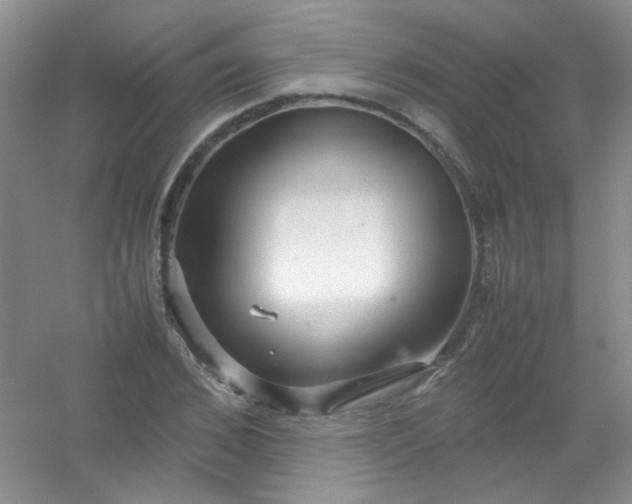 X0000054470976200508121959