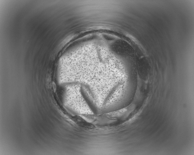 X0000054470977200508121959