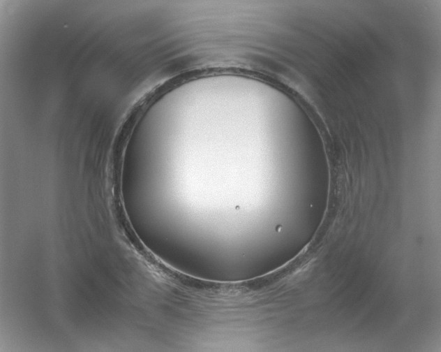 X0000054470979200508121959