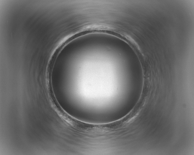 X0000054470981200508121959