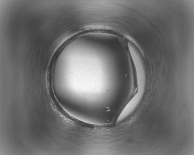 X0000054470983200508121959