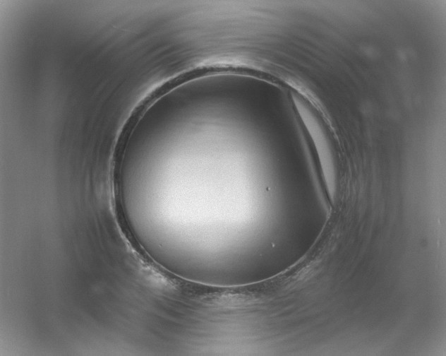 X0000054470984200508121959