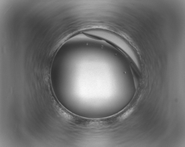 X0000054470985200508121959