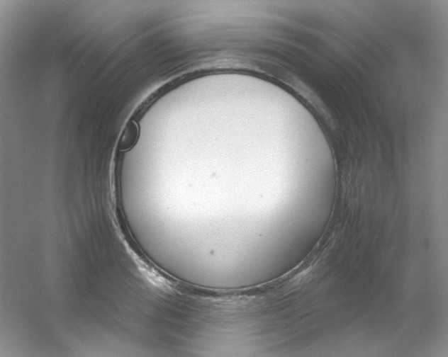 X0000054470988200508121959