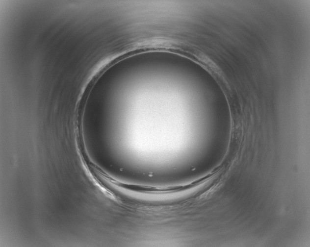 X0000054470989200508121959