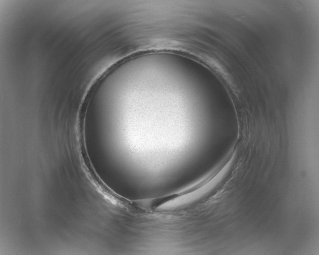 X0000054470990200508121959