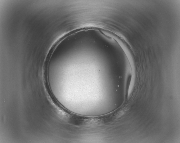 X0000054470991200508121959