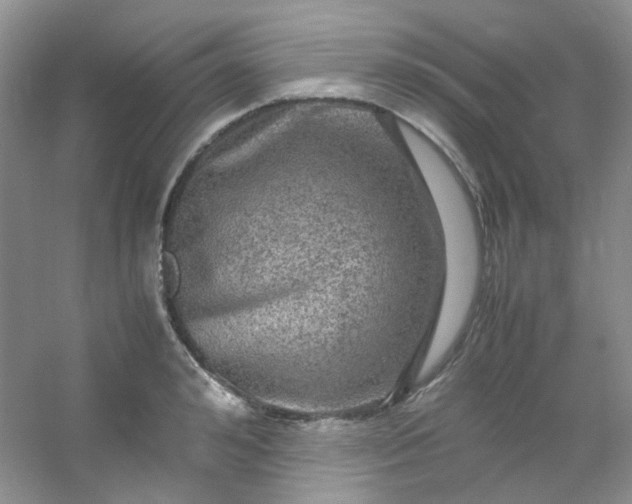 X0000054470992200508121959