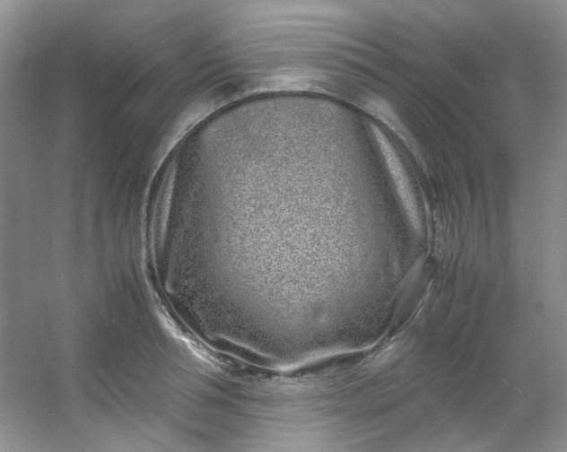 X0000054470994200508121959