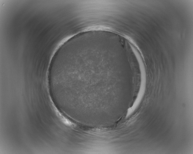 X0000054470995200508121959