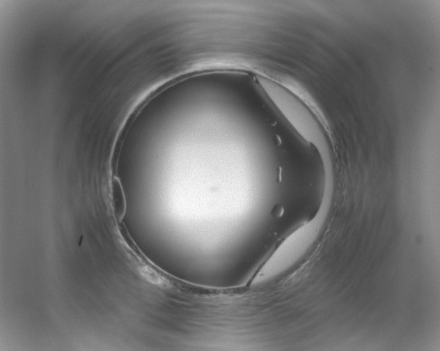 X0000054470996200508121959