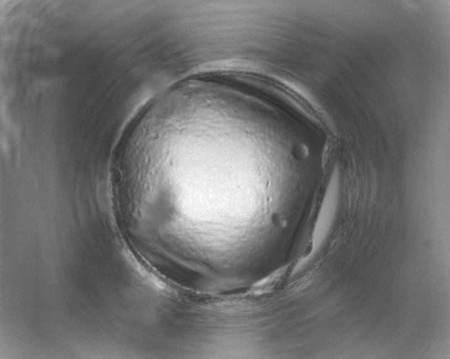 X0000054470998200508121958