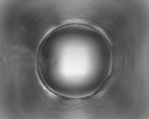 X0000054470999200508121958