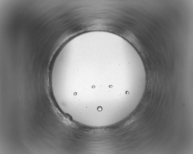 X0000054471000200508121958