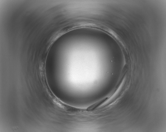 X0000054471001200508121958