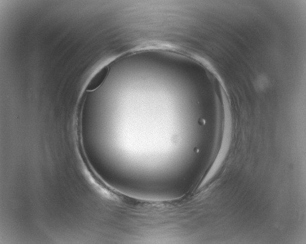 X0000054471003200508121958