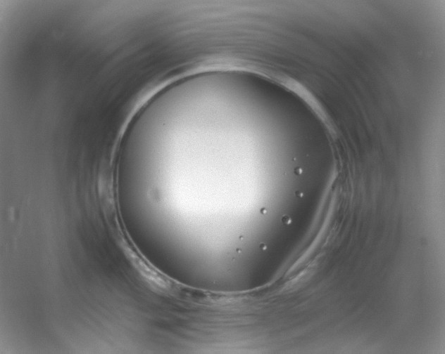 X0000054471004200508121958