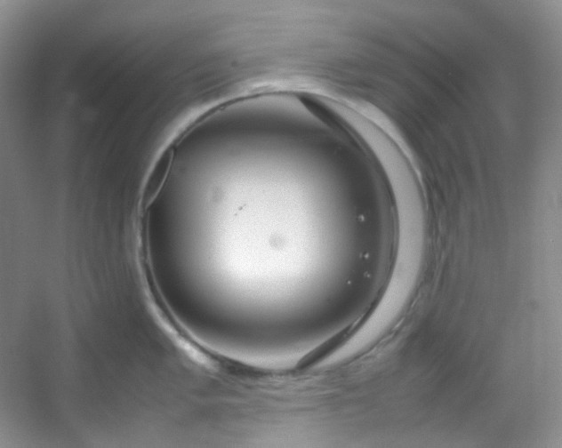 X0000054471005200508121958