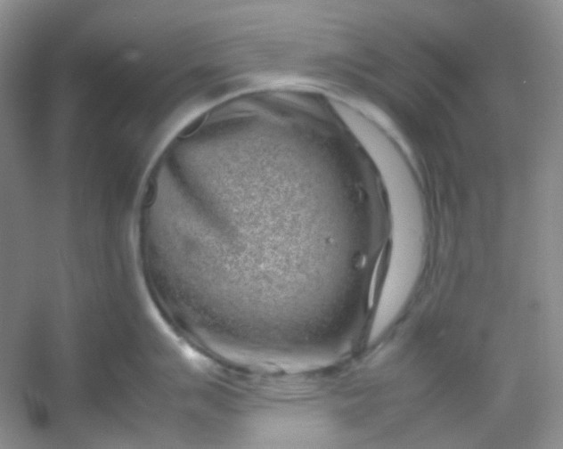 X0000054471007200508121958