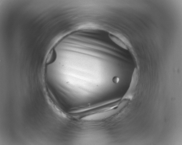 X0000054471008200508121958