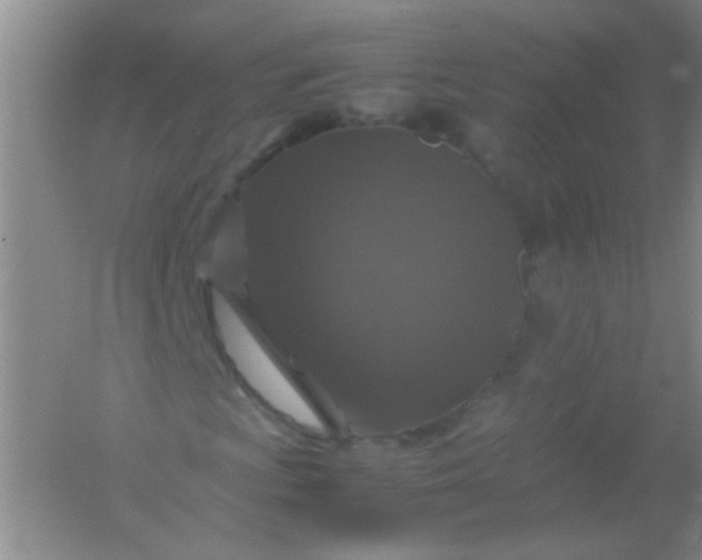 X0000054471009200508121957