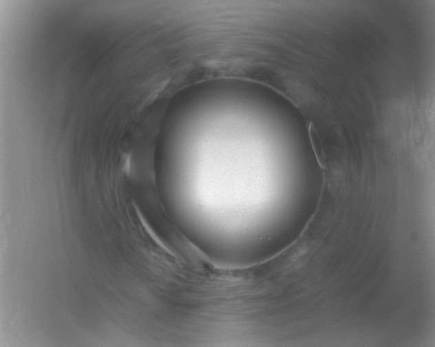 X0000054471010200508121958