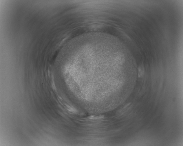 X0000054471011200508121958