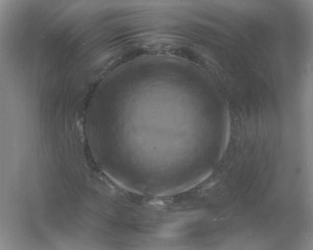 X0000054471013200508121958