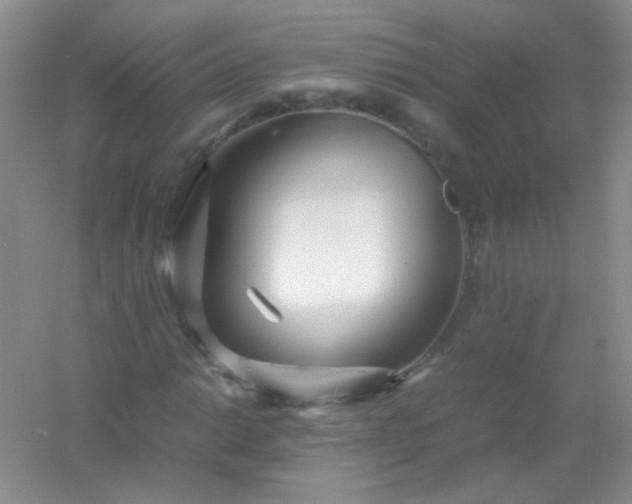 X0000054471014200508121958