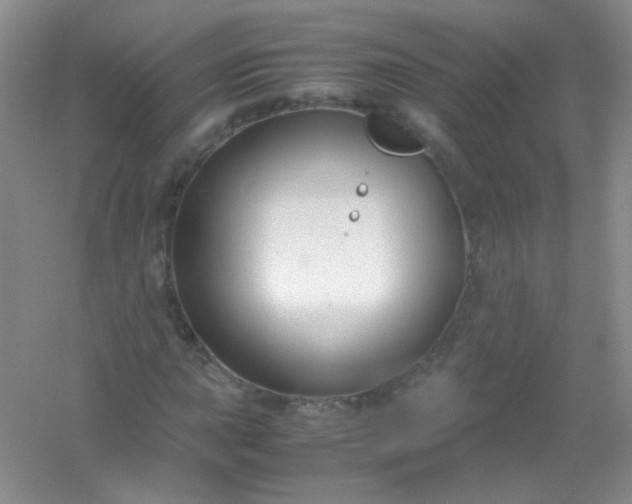 X0000054471015200508121958