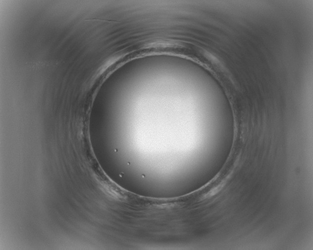 X0000054471017200508121958