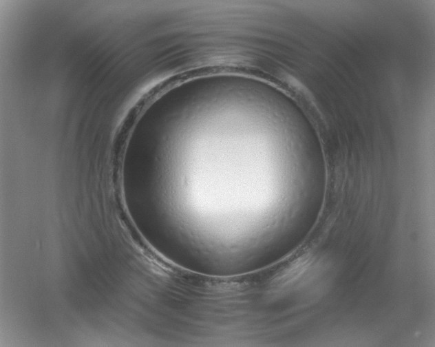 X0000054471019200508121958