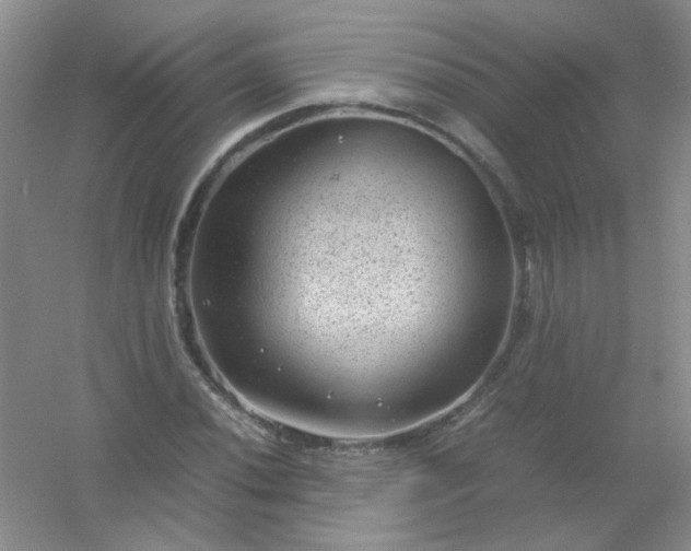 X0000054471020200508121958