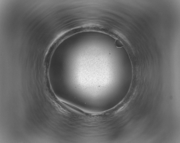 X0000054471021200508121958