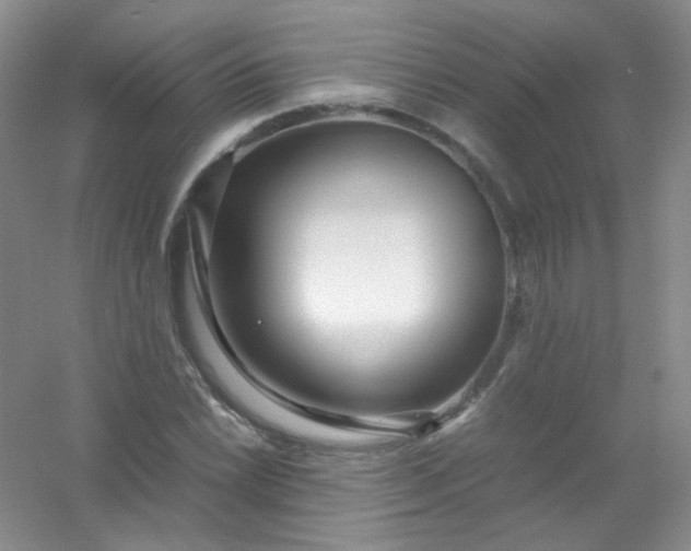 X0000054471022200508121958