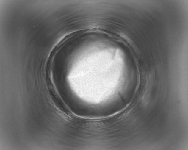 X0000054471023200508121958