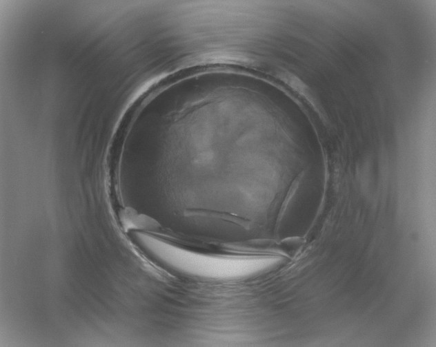 X0000054471024200508121958