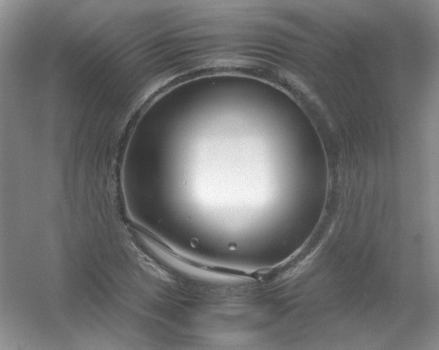 X0000054471025200508121958