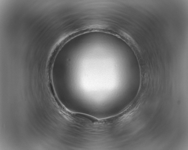 X0000054471027200508121958