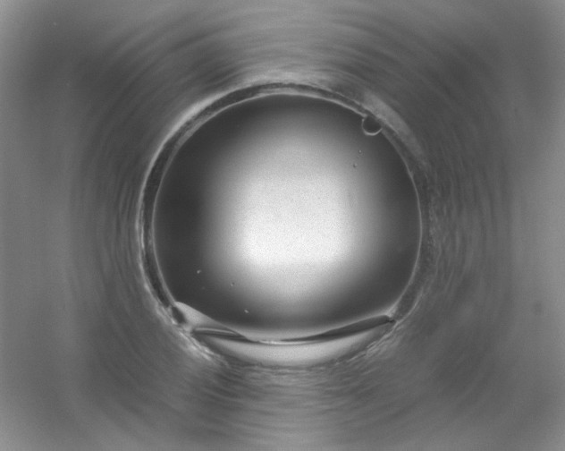 X0000054471028200508121958